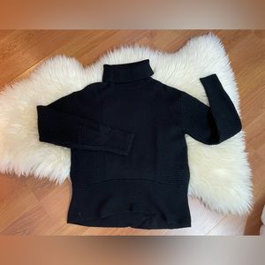 Kit and Ace Merino Wool Turtleneck Sweater